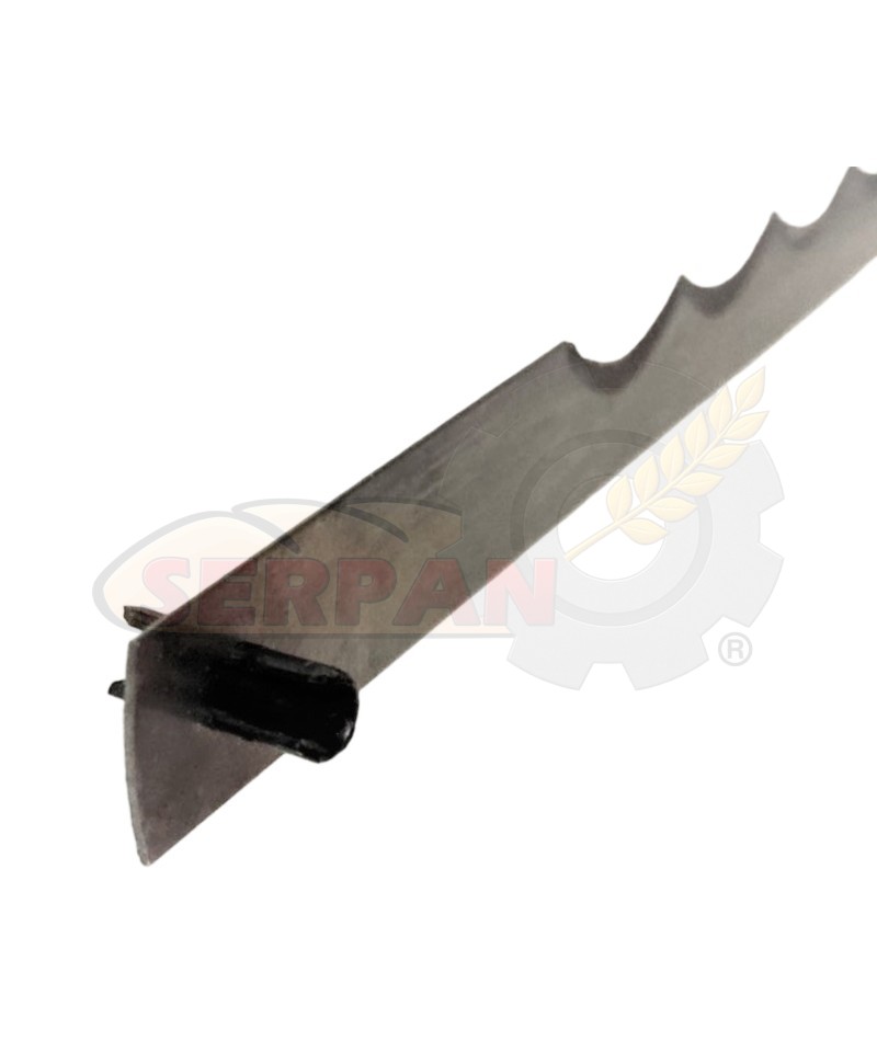 SIERRA CORTADORA PAN DAUB TORRENTS 310mm Clavia 5mm
