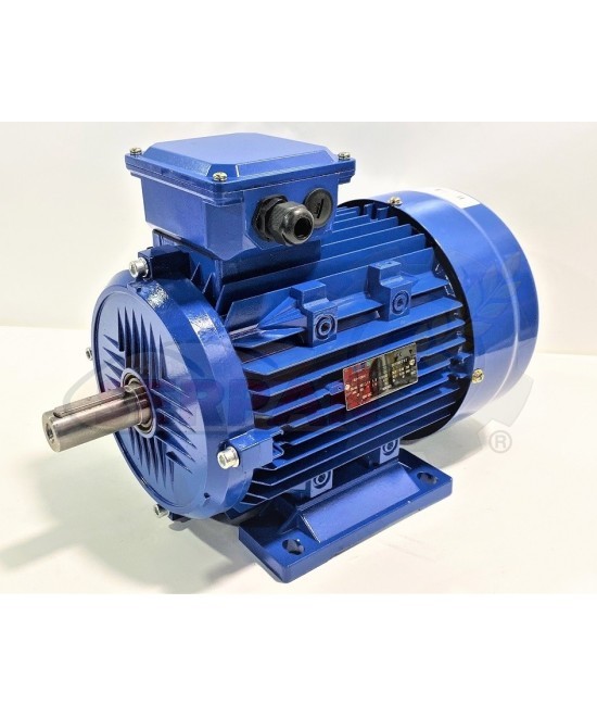 MOTOR PARA PESADORA DIVISORA SUBAL MINOR CSM MINOR MOTOR TRIFÁSICO 1,5KW 2CV 750 RPM 230VAC / 380VAC