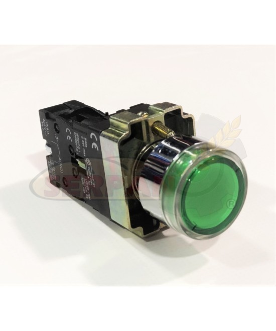 PULSADOR VERDE LUMINOSO CON RETORNO N/O