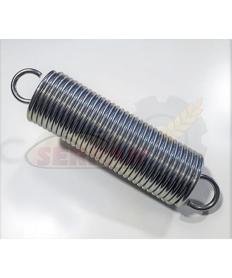MUELLE ELEVACIÓN BRAZO PARA EMPAQUETADORA RAELMA R-ENA