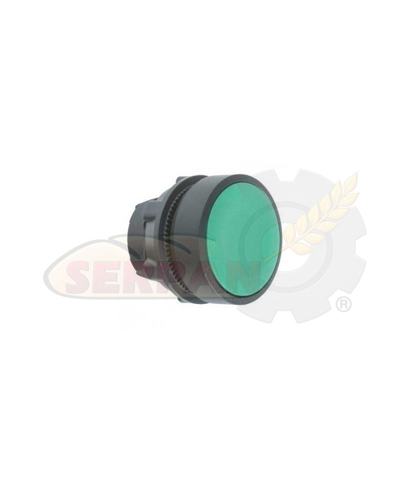 CABEZA PULSADOR RASANTE VERDE TELEMECANIQUE ZB5AA3 CAMARA REPOSO