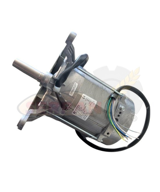 MOTOR HANNING L9FG4D-180 PARA HORNO SALVA SIROCCO MAGMA 230/380VAC