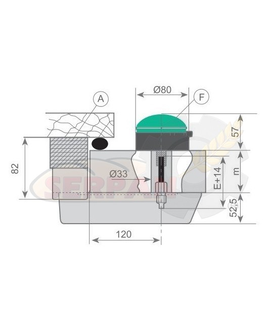 MANILLA PUERTA CÁMARA FERMENTACIÓN SALVA SATURNINO DE LA OLIVA SUBAL F-921 A