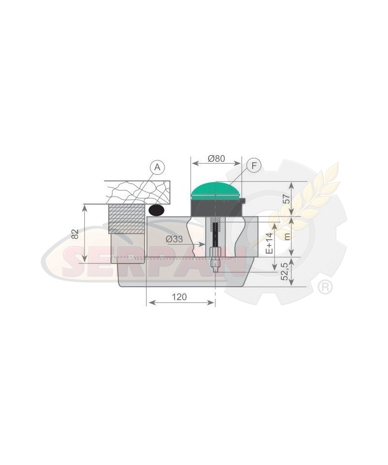 MANILLA PUERTA CÁMARA FERMENTACIÓN SALVA SATURNINO DE LA OLIVA SUBAL F-921 A