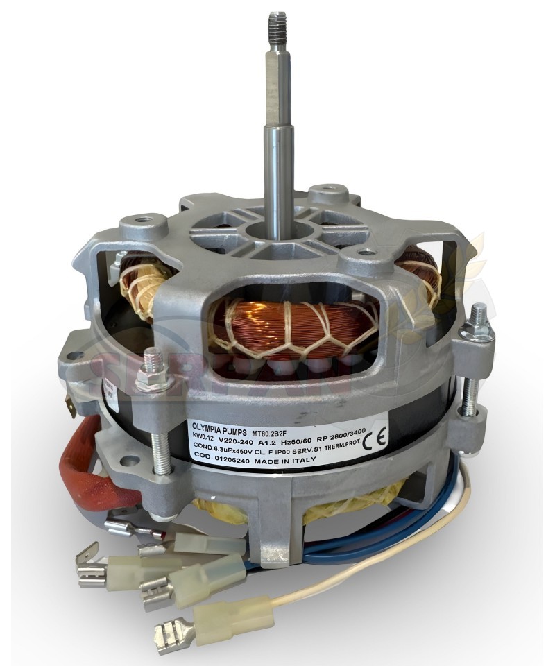 MOTOR OLYMPIA MT80 01205240  FIR 1004 2459 DOBRA CR4 EKF711TC EKF1111TC EKF611TC/075 RMG 733/900/930/933/938 EKF1064TC, EKF1064U